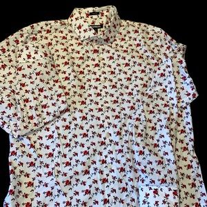 Express button down dress shirt